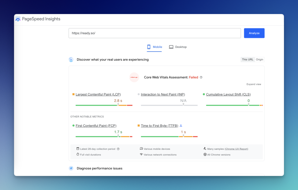 PageSpeed Insights example report